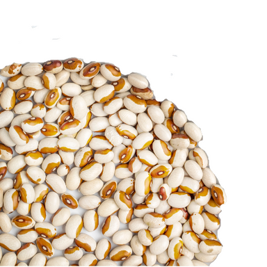 whole beans, protein, plastic free, bulk, heirloom, plant based, New England made, healthy, local