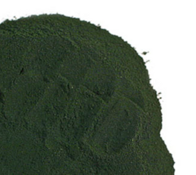 vegan, smoothies, bulk, plant based, protein, algae, healthy, kosher