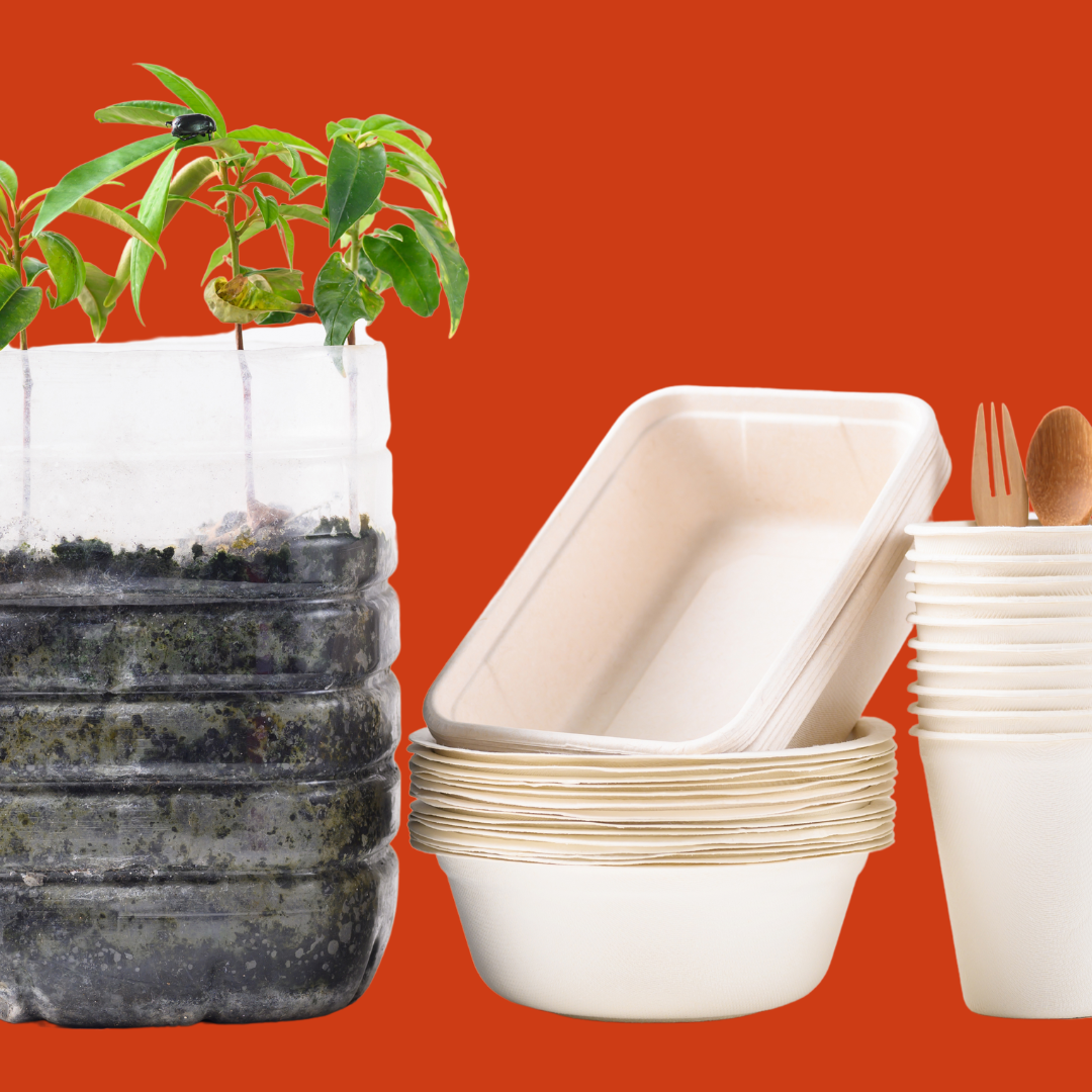 Beyond Plastics - Demystifying Biodegradable & Compostable Plastics