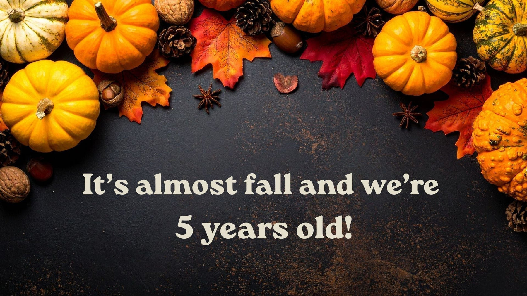 We Made It to 5 Years! 🎉