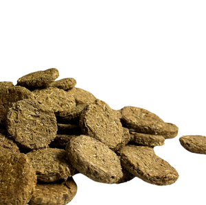 Dog Snacks