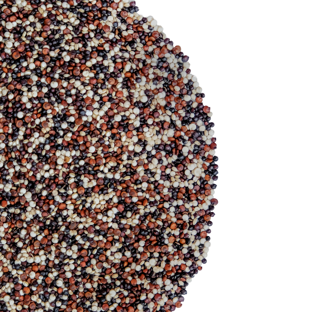 Tri-Colored Quinoa