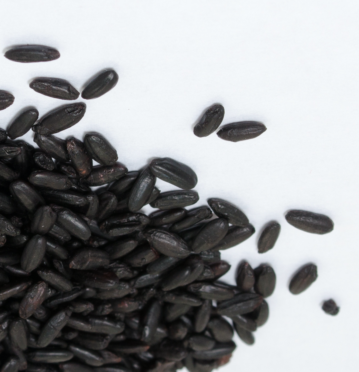 black rice seeds for planting Organic Forbidden Black Rice