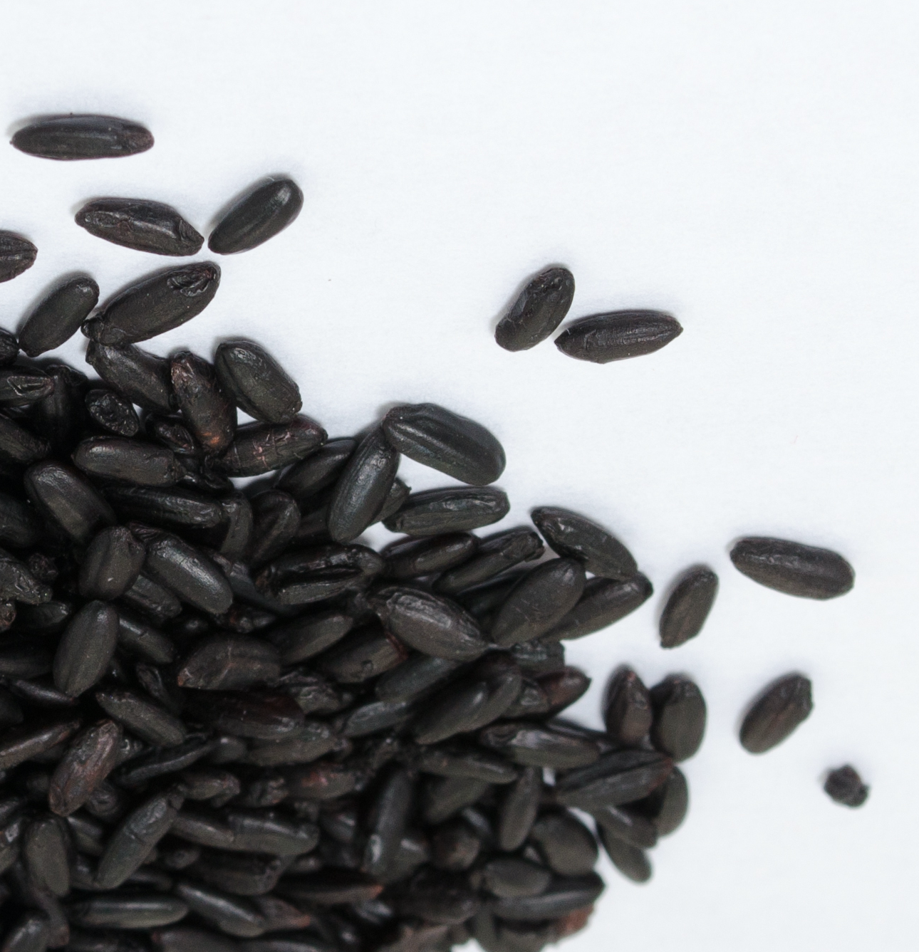 organic, plastic free, bulk, black rice