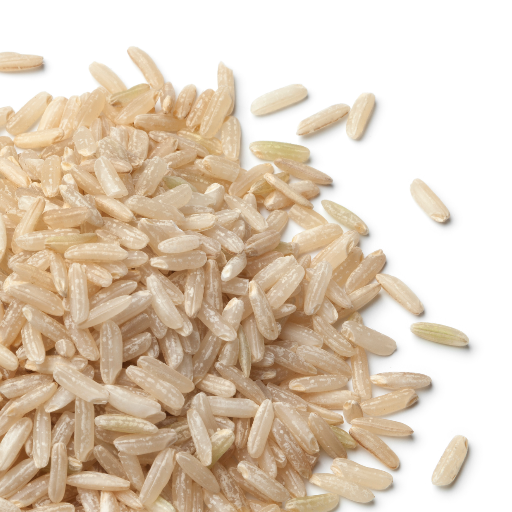 Organic Brown Rice, Long — SUPPLY Bulk Foods